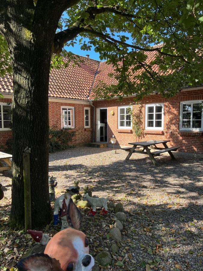 Familiehuis Boysen Bed&Breakfast Ribe Bagian luar foto