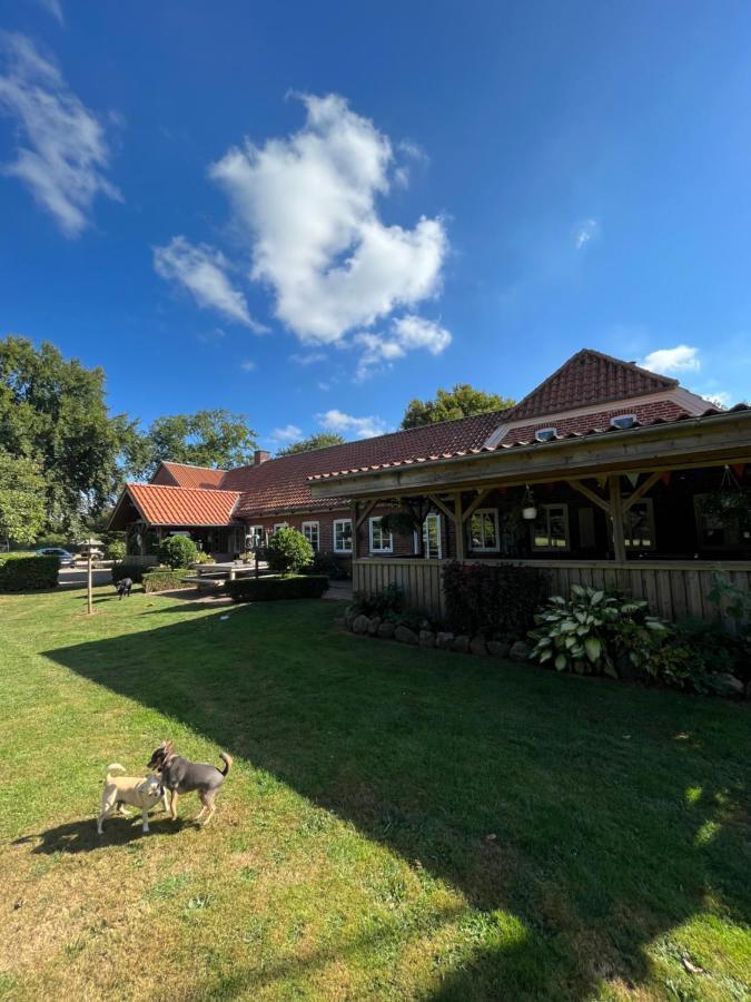 Familiehuis Boysen Bed&Breakfast Ribe Bagian luar foto